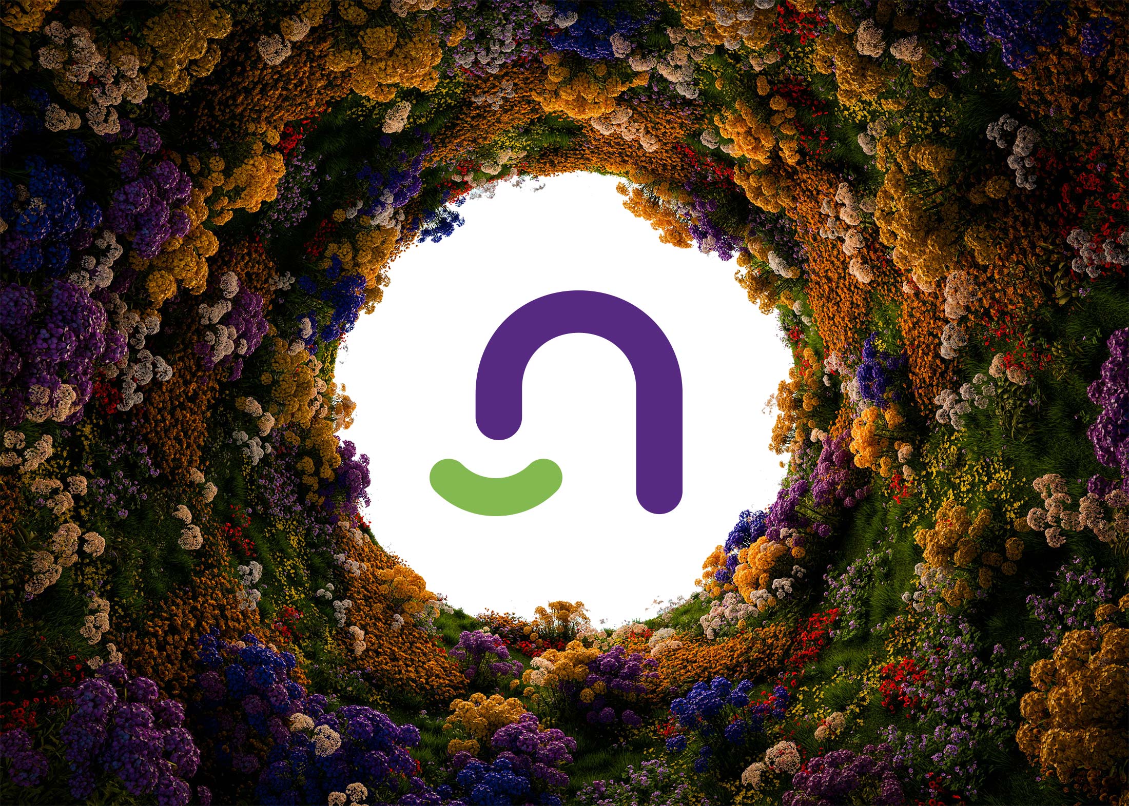 niavis_imagine